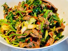 香菜炒牛肉-壹盏灯(蚂蚁工房店)