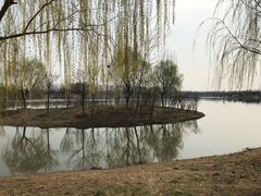 -东郊湿地公园