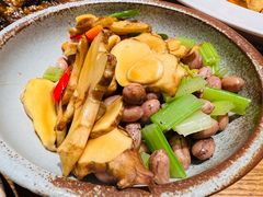 -鸽子窝(黄村店)