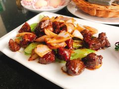 -云中小雅