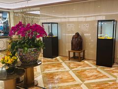 -粤珍轩·家宴·广式茶点(新城广场店)