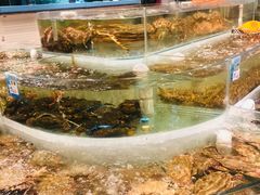 水产区-海蓝海鲜馆(五四北店)