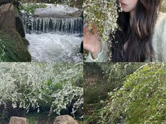 -中国茶叶博物馆(双峰馆区)