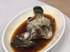 蒸大石斑-东江海鲜酒家(艺都分店)