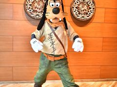 -云龙轩(迪士尼探索家度假酒店)