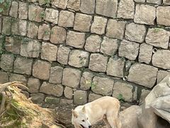 -杭州长乔极地海洋公园