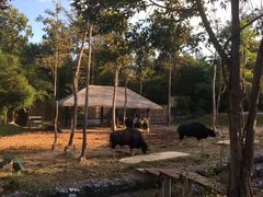 -清迈夜间动物园