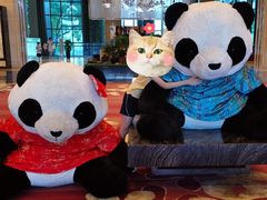 -成都保利公园皇冠假日酒店(熊猫基地店)