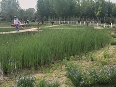 -东郊湿地公园