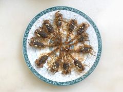 炸蝎子-国英炖品店(甲子路店)