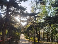 -元大都城垣遗址公园