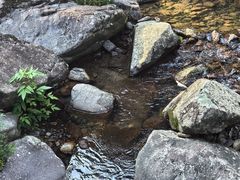 -丹山赤水风景名胜区