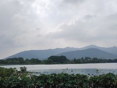 -长田漾湿地公园