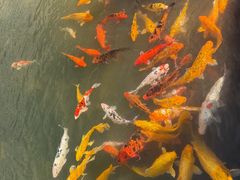 -中国宣纸文化园