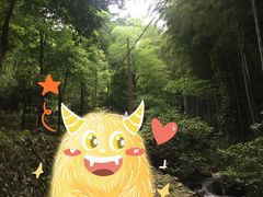 -仙霞关景区