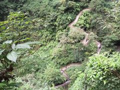 -武隆天坑地缝国家地质公园