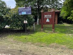 -上海海湾国家森林公园