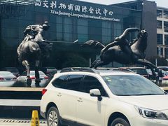 -苏州西交利物浦大学国际会议中心