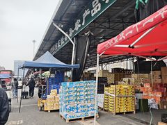 -双福水果批发市场