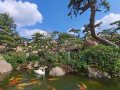 -罗红摄影艺术馆