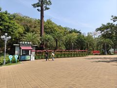 -野狸岛