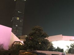 -南京金陵饭店