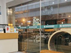 -伟伟宠物医院·瑞派猫友好医院·猫科(光谷店)