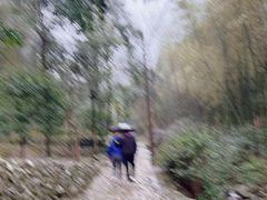 -仙霞关景区