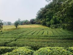 -保利石象湖景区