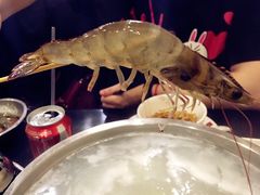 -吉友粥底火锅(方斜路店)