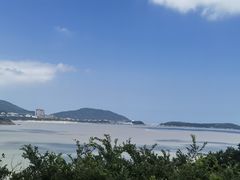 -印象普陀