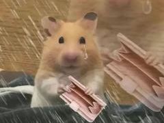 -聚盛源蒸汽海鲜火锅烤肉自助(巨川金海岸购物广场店)