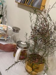 -海涛医疗美容·面部抗衰·注射美鼻