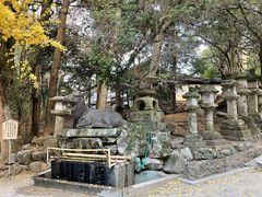 -奈良公园