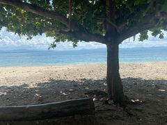 -三亚西岛海洋文化旅游区