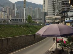 -郑件洋芋饭庄