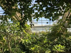 -中国农科院国家农业科技展示园