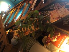 -有喜屋·烧鸟·居酒屋(三钢里店)