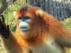 -哈尔滨北方森林动物园