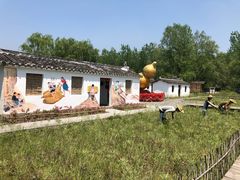 -溱湖国家湿地公园