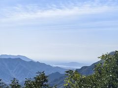 -大岭沟猕猴桃谷风景区