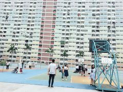 -彩虹村