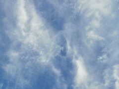 -西南交通大学(九里校区)