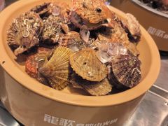-龍歌自助小火锅(芝罘万达店)