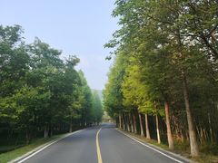 -南京市无想山景区