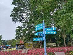 -松山湖南湖湾露营营地