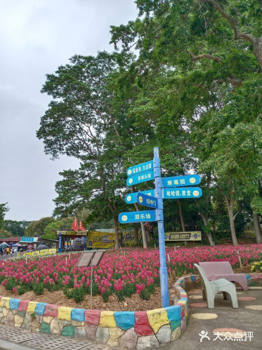 松山湖南湖湾露营营地图片