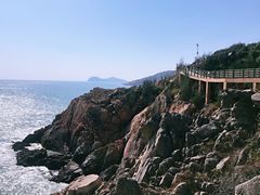 -广东惠东海龟国家级自然保护区