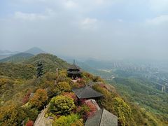 -杭州半山国家森林公园