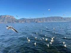 -丽江泸沽湖景区